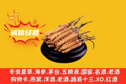 锡林郭勒苏尼特左旗回收冬虫夏草